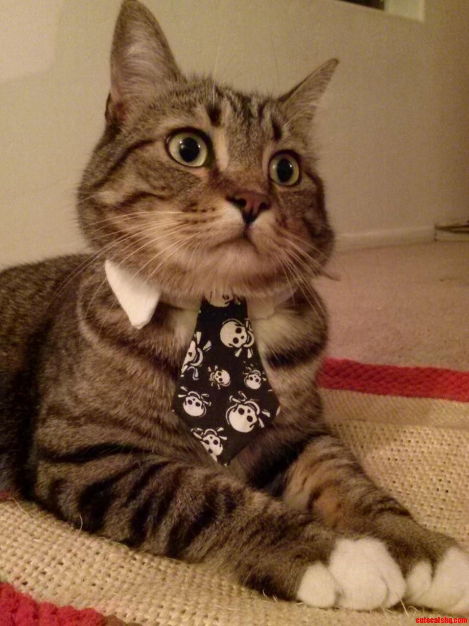 Not too thrilled with his tie.