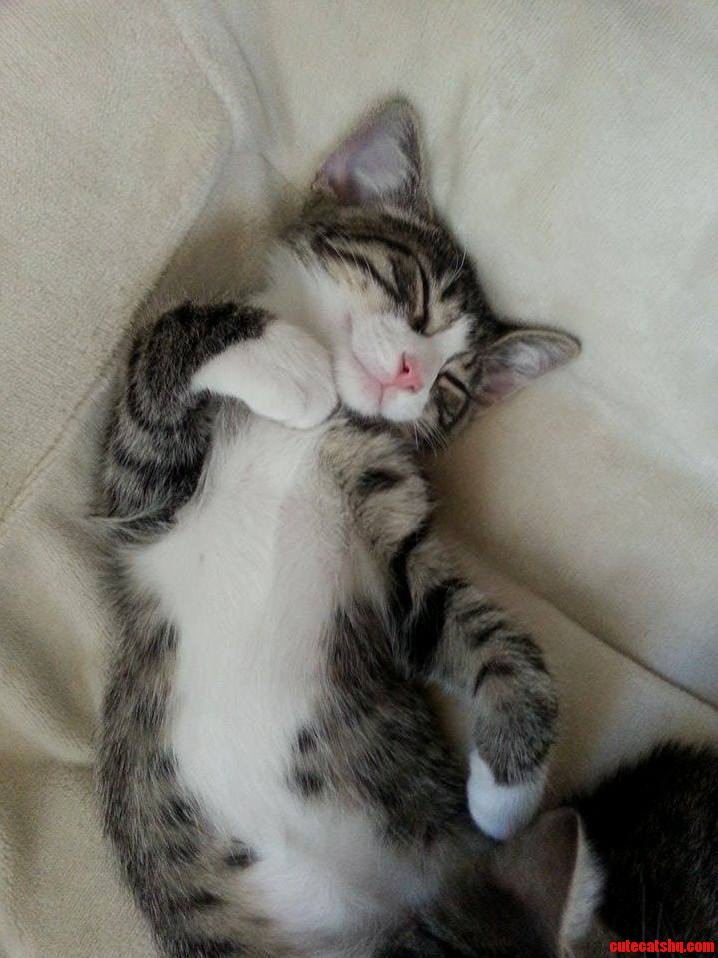 Passed out after a long day