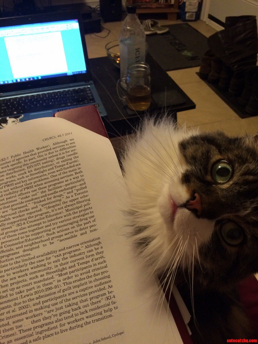 Procrastination is already a problem. hes not helping