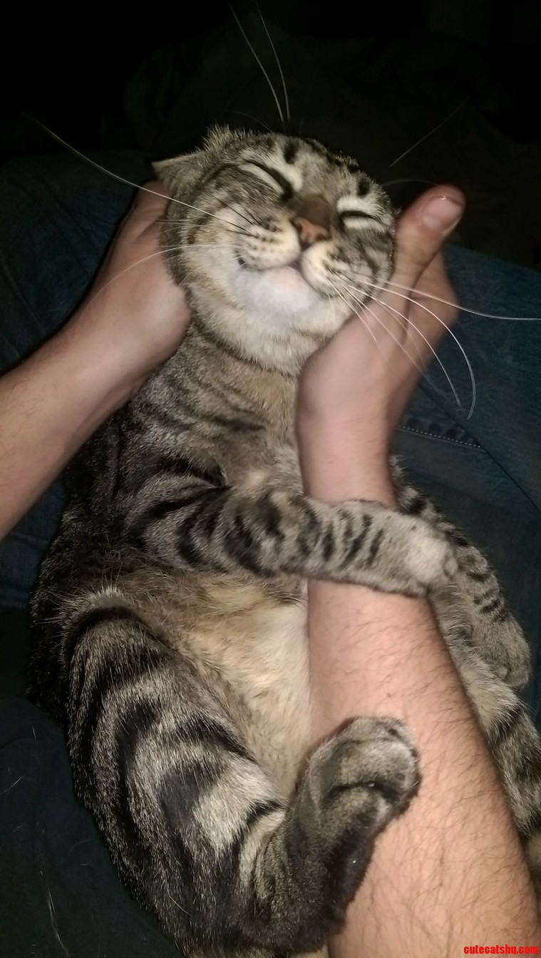 This is norton and he loves his ears rubbed.