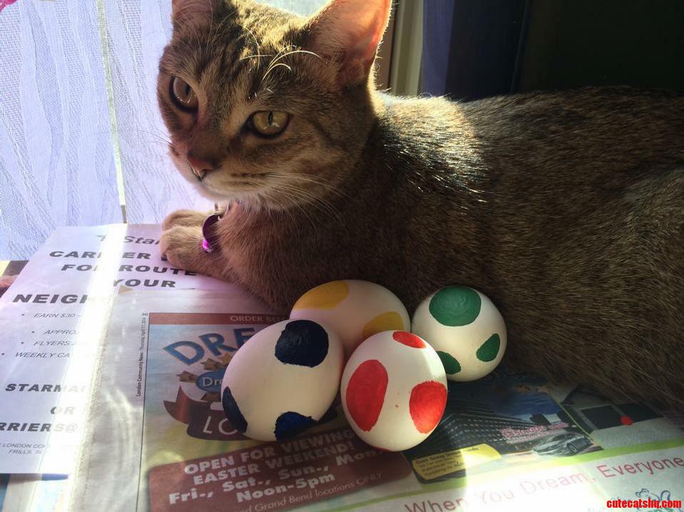 Guardian of the yoshi easter eggs