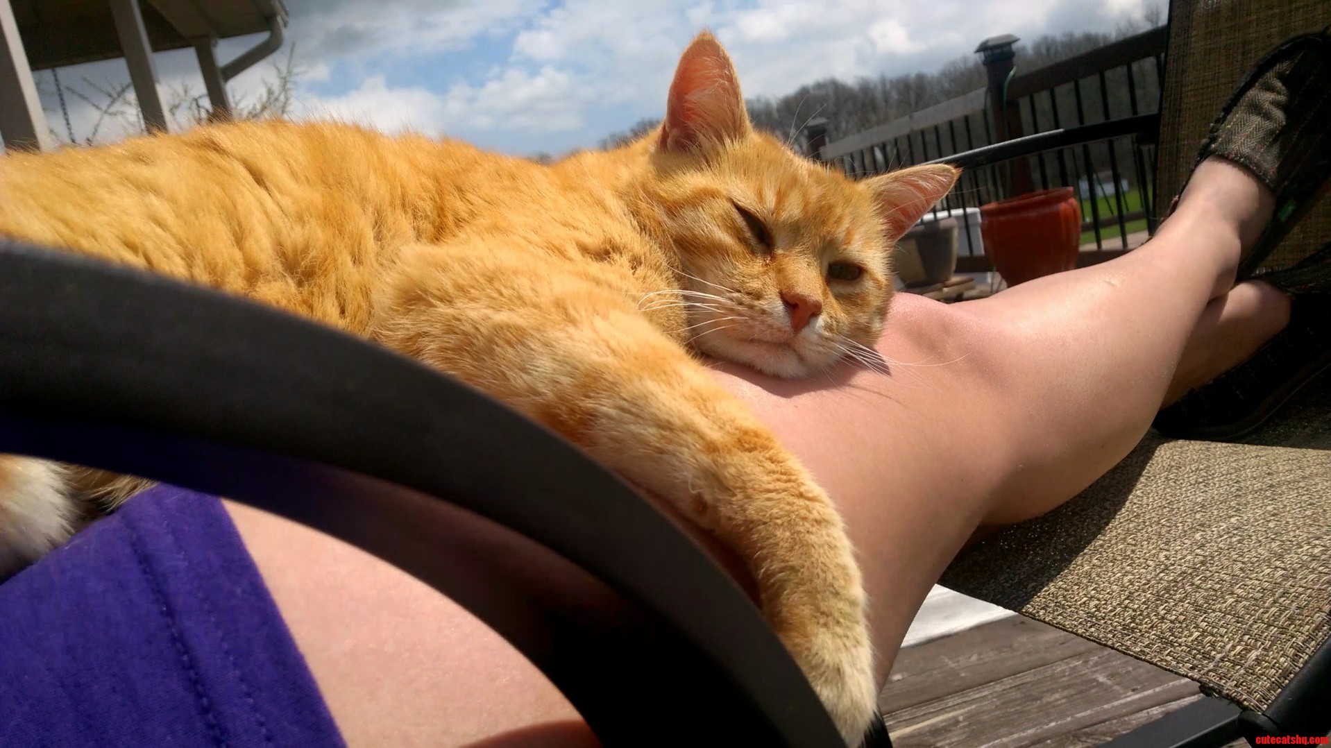 If he isnt rolling on the porch he is on my lap.