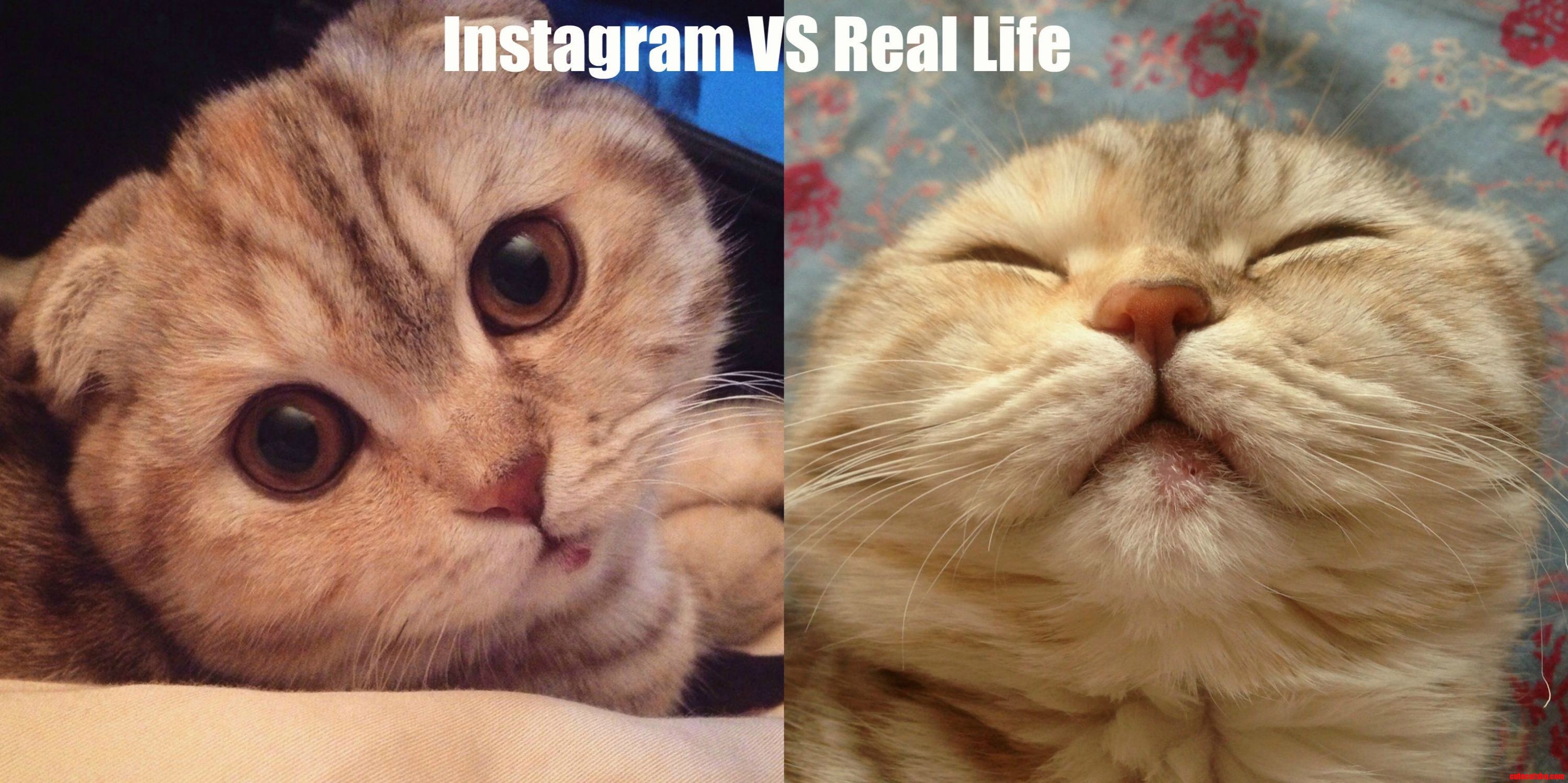 Instagram vs real life