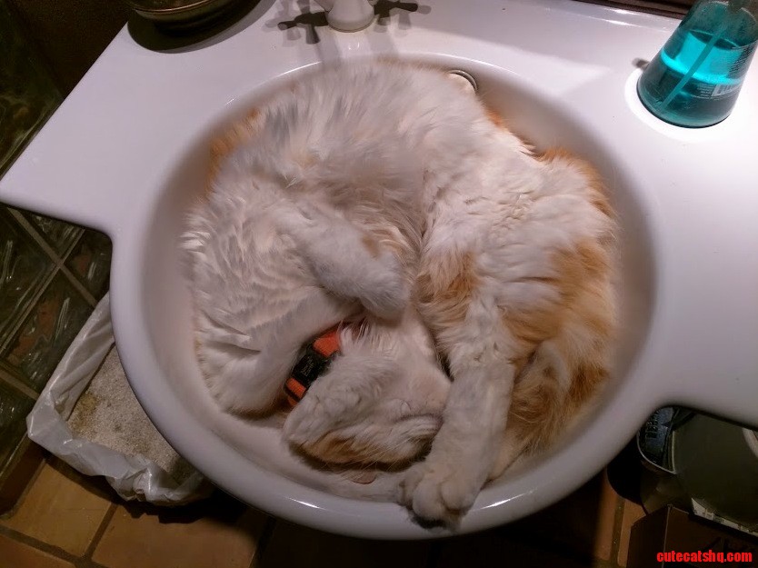 Its like he was just poured out of the tap forming a floof puddle.