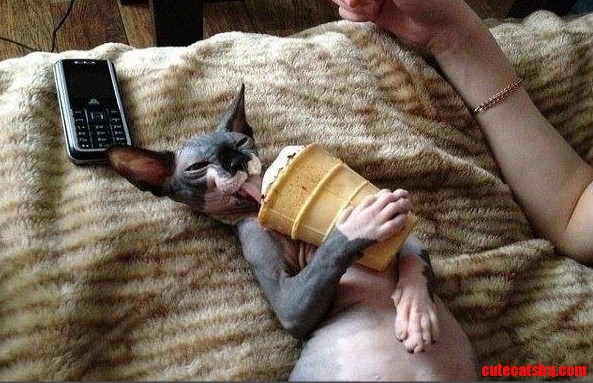 My little naked pussy is licking ice-cream