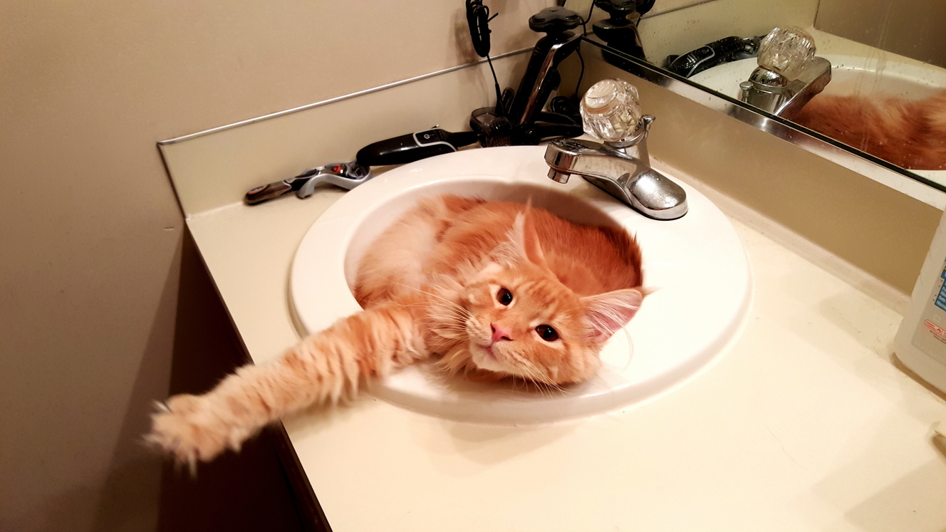 Andy has discovered the sink.