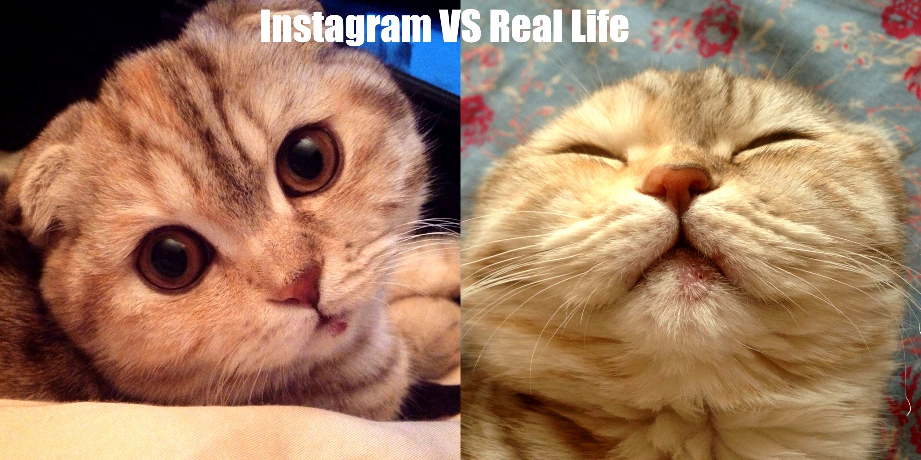 Instagram vs real life