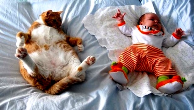 Kitten is trying to copy the kid…
