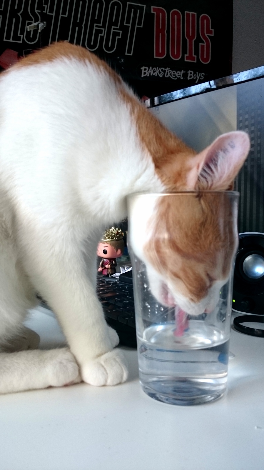 Our cats really likes drinking water from glasses.. facepalms
