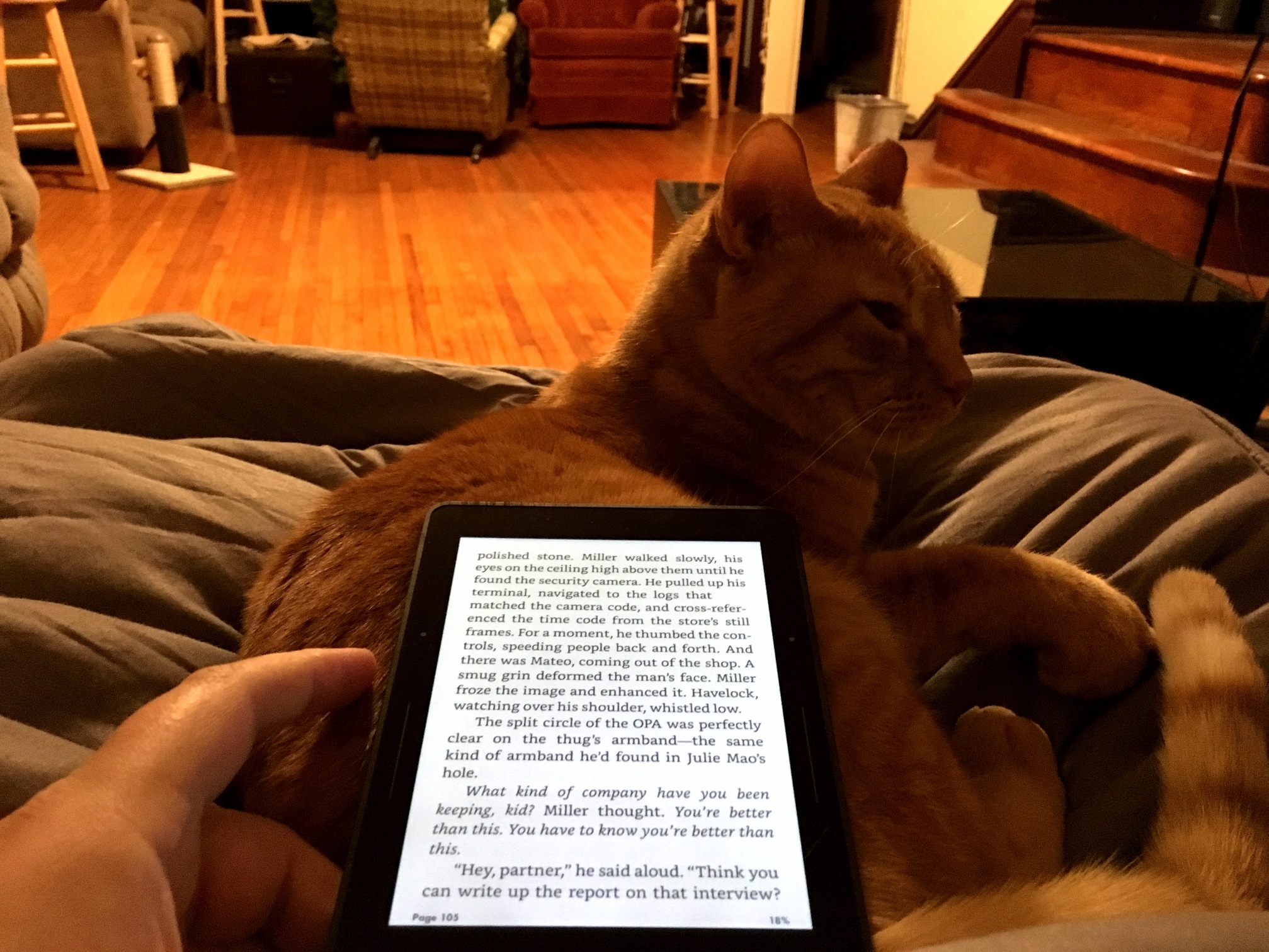 I have a reading buddy this evening.