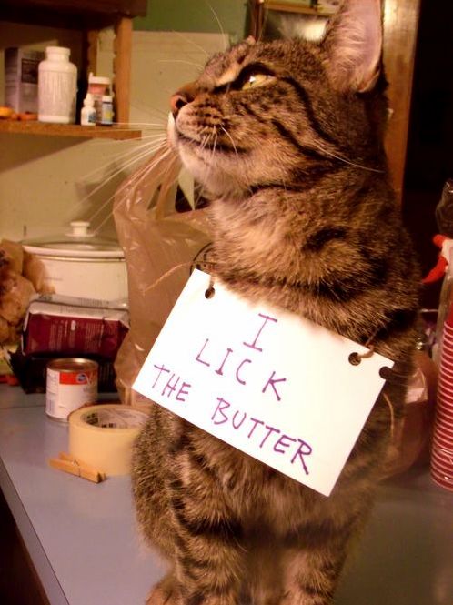 I lick the butter