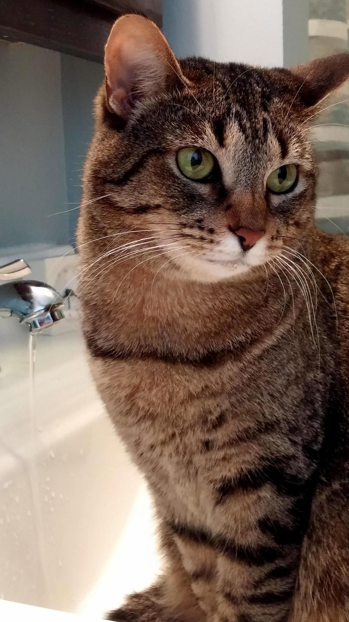 Leeloo loves her water..