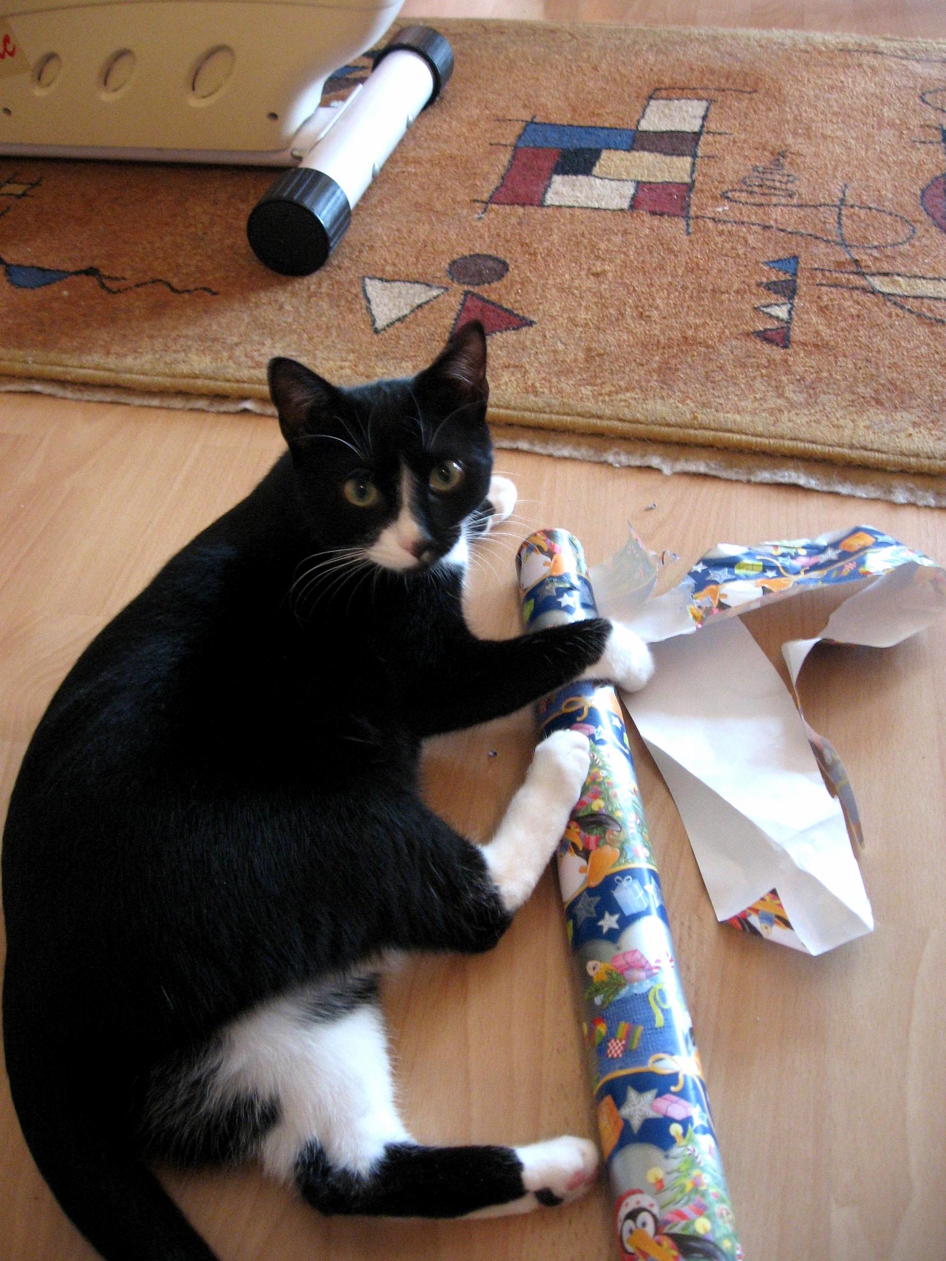 She did her best to help wrapping gifts