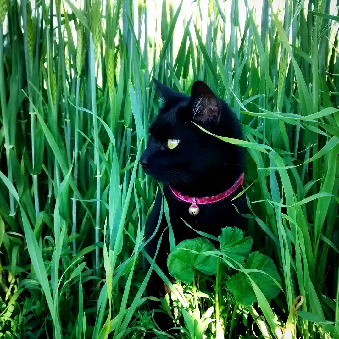 Marla in the wild for the first time