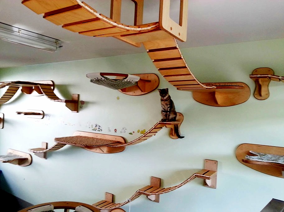 The coolest cat room ever