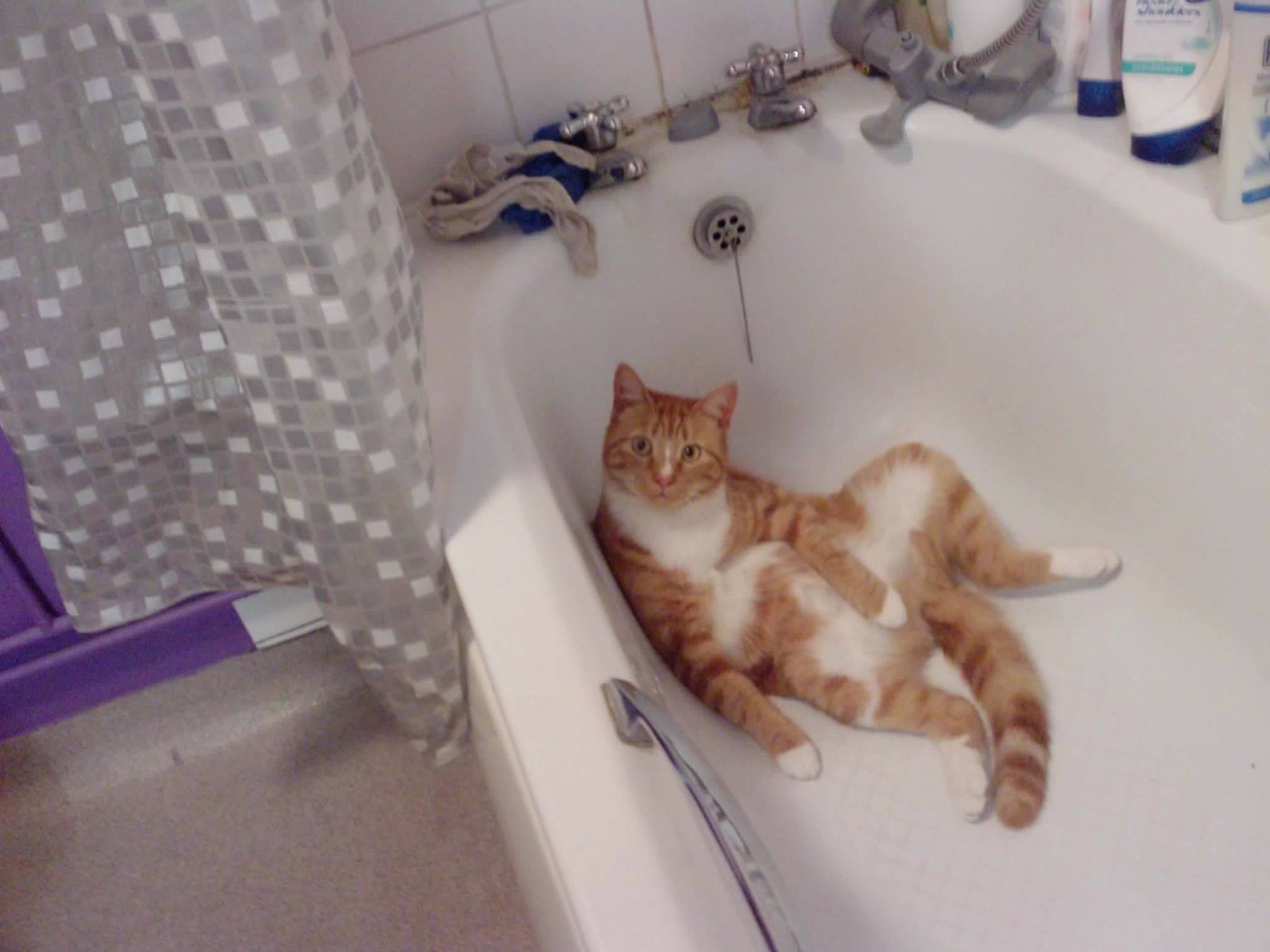 I got out the bath went to get dressed came back to the bathroom… i wont ask him questions.