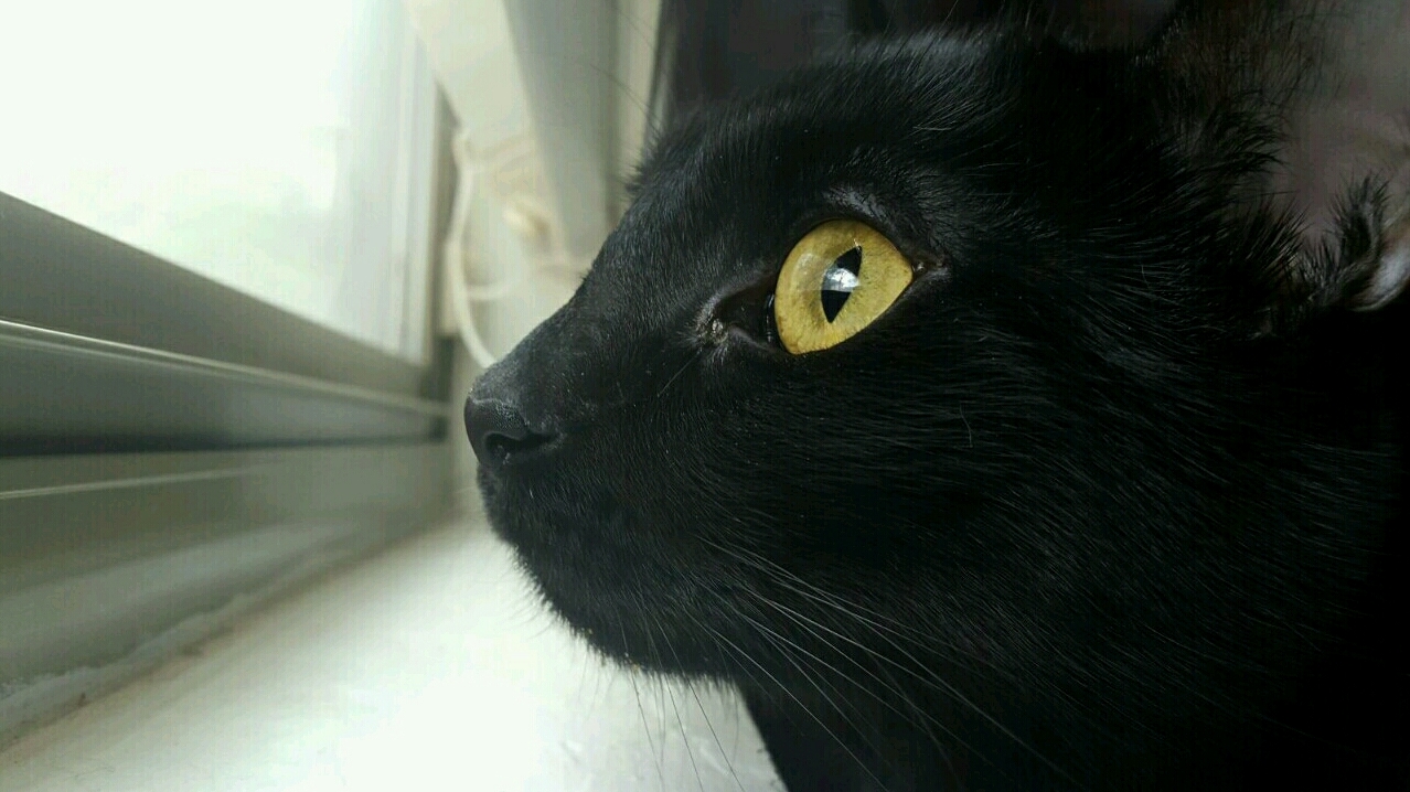Just watching the birds.