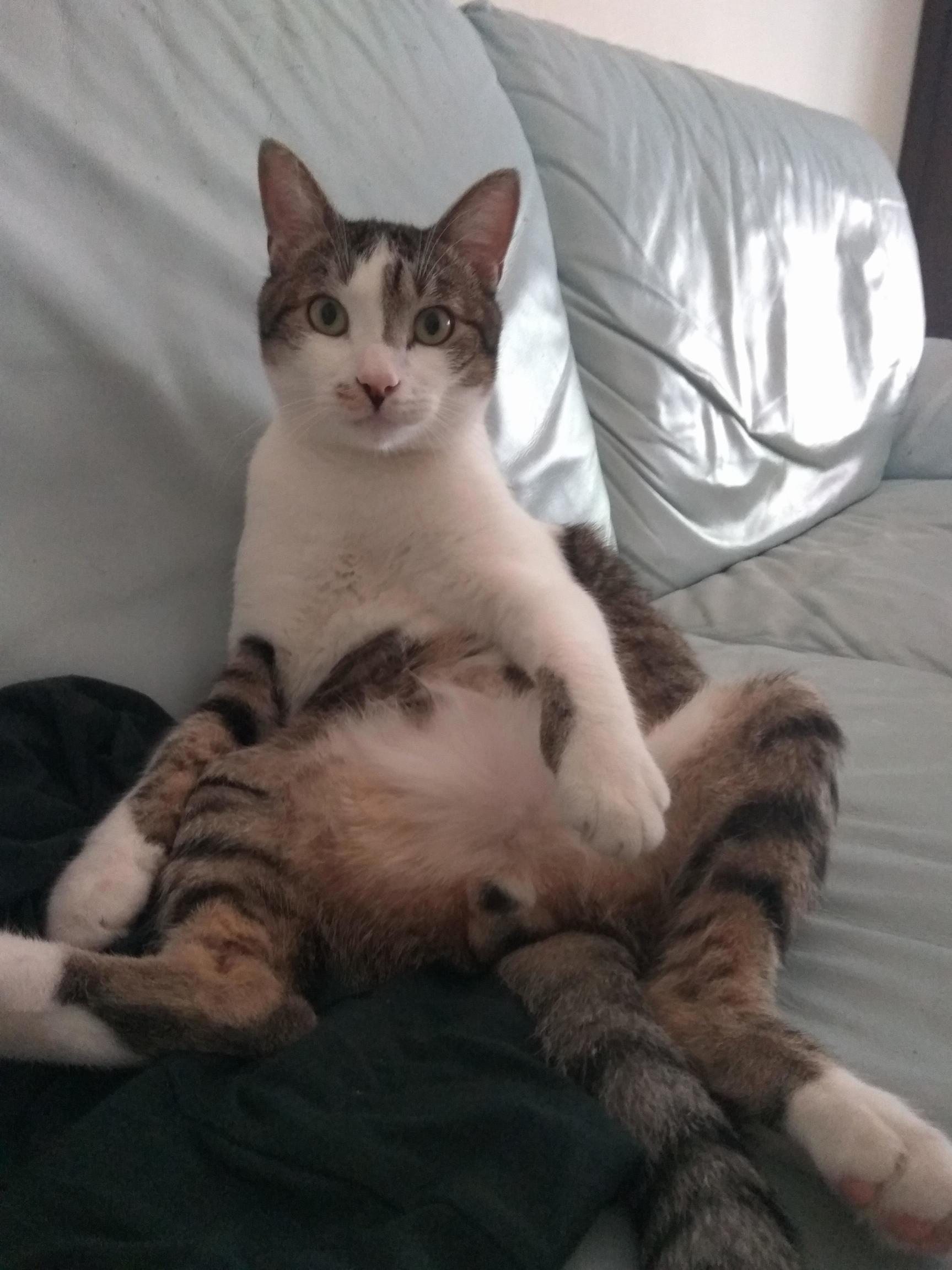 Sometimes he sits like this and then look at me confused about my laughing