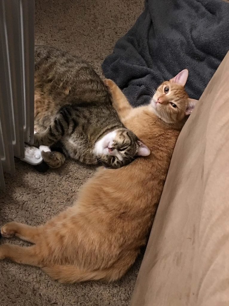 Cuddling next to the heater