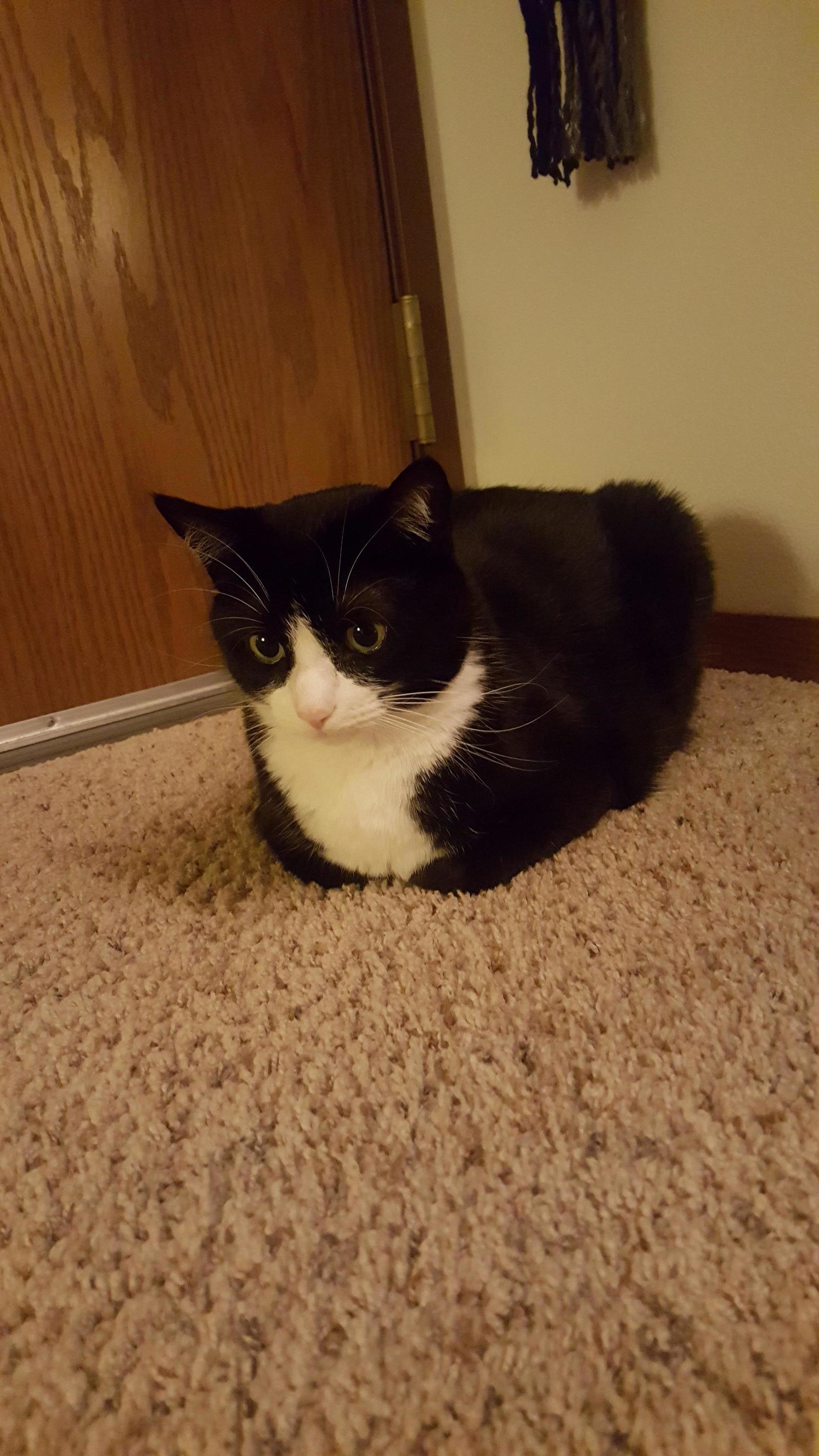 A rare picture of ted loafing about