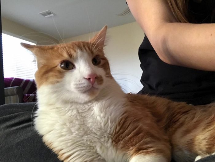 She Likes To Chew On Green Things Like Pineapples And Cilantro. Cute