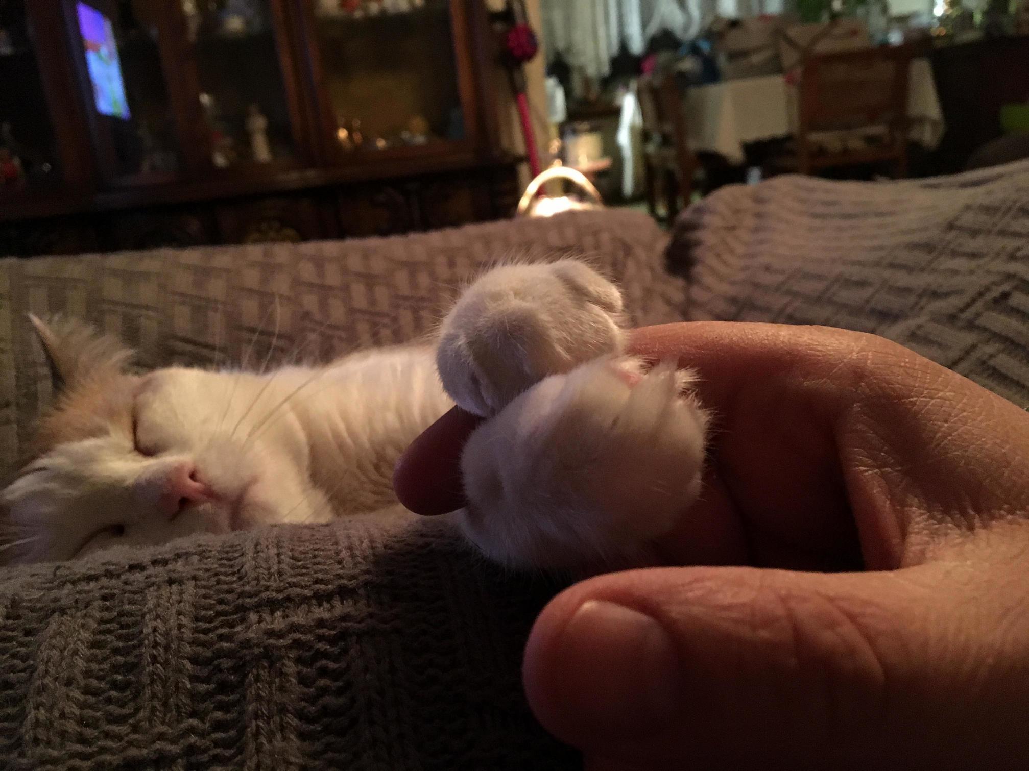 Scarlett has to hold hands while she naps.