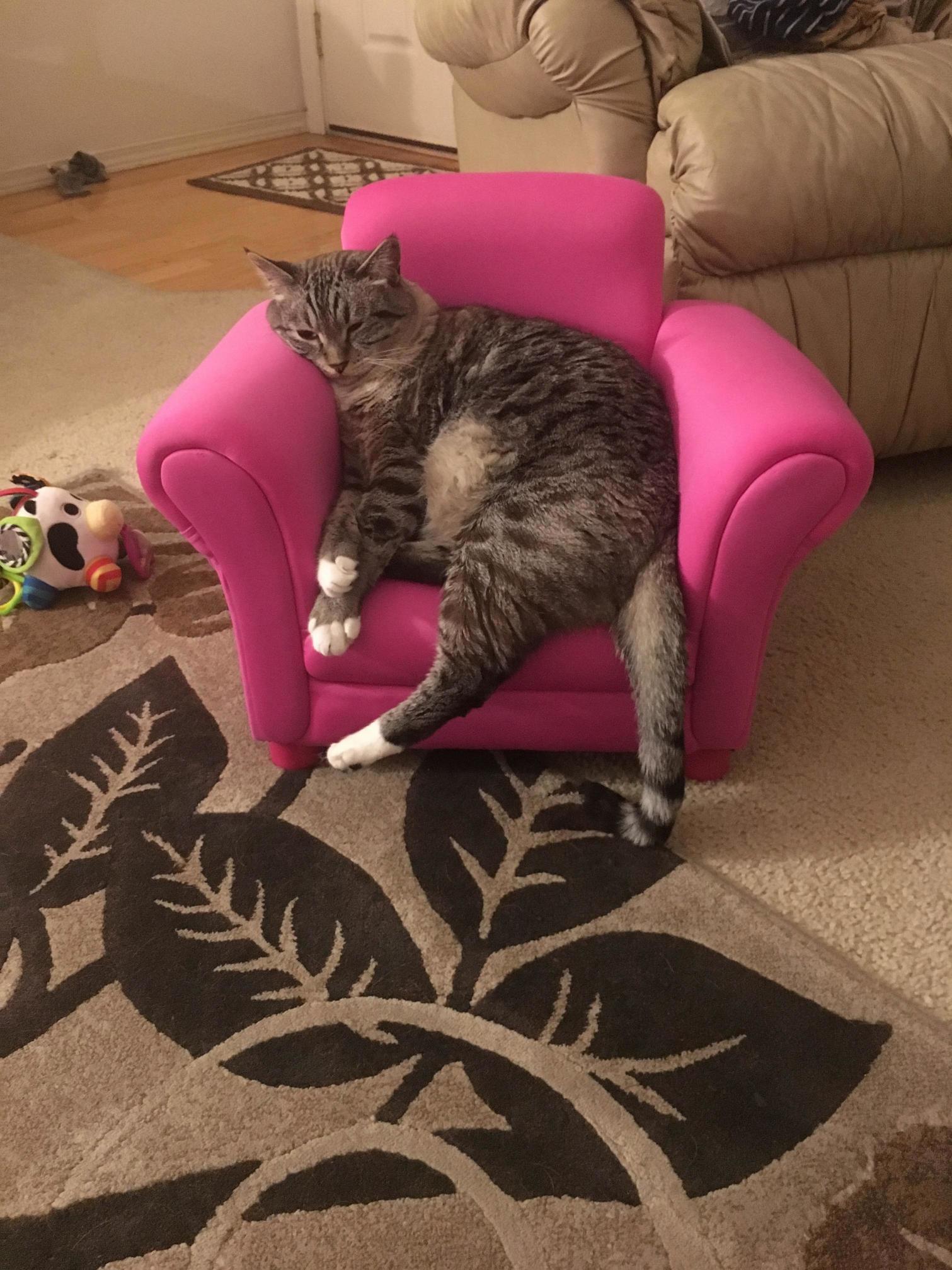 Wife bought a new chair for our daughter…