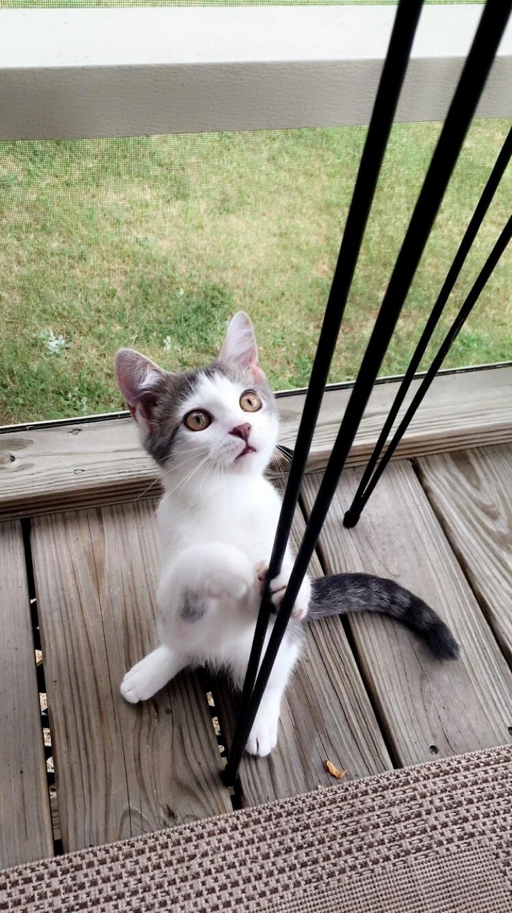 Zoe is always so curious