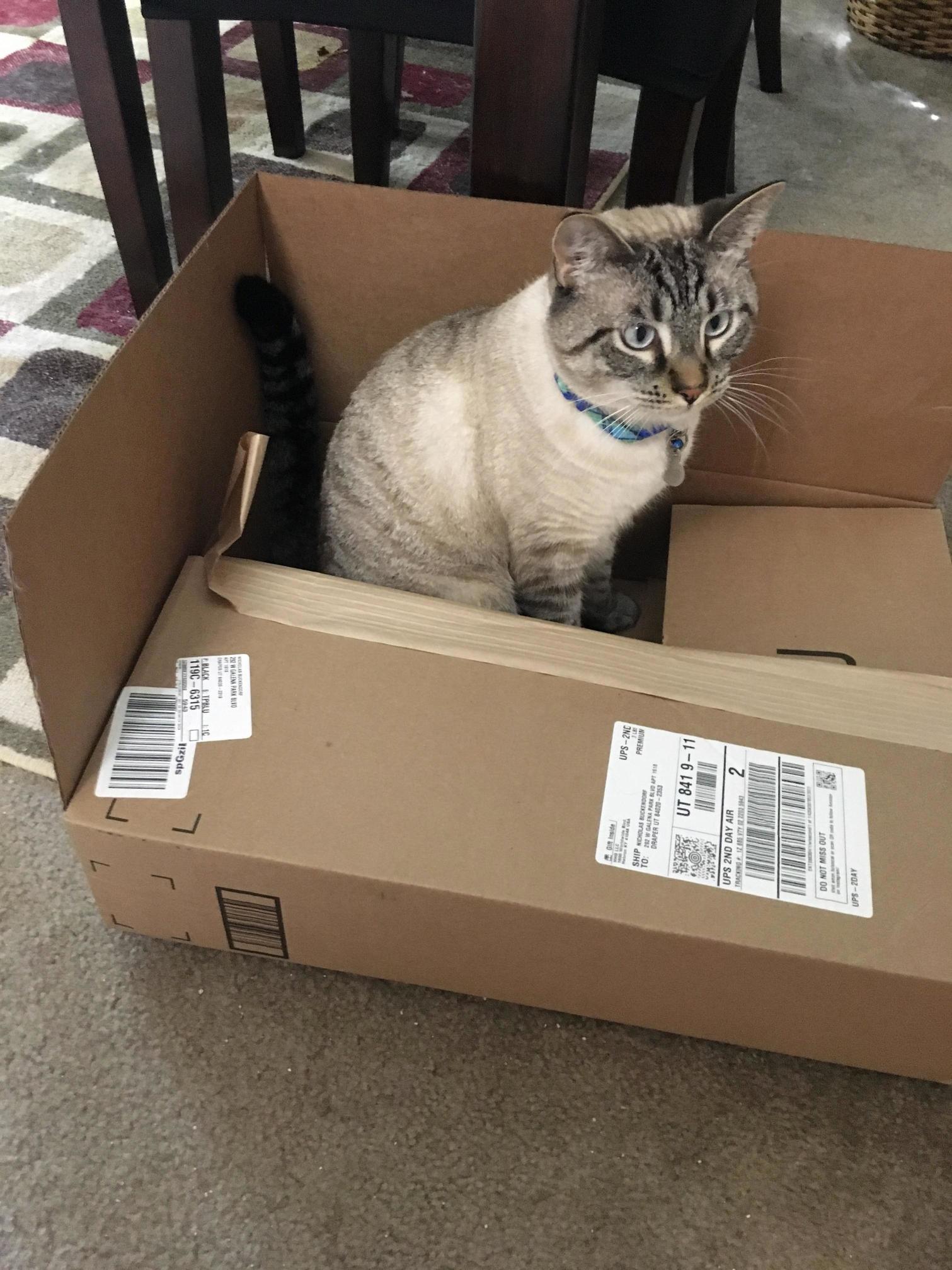 He found a box