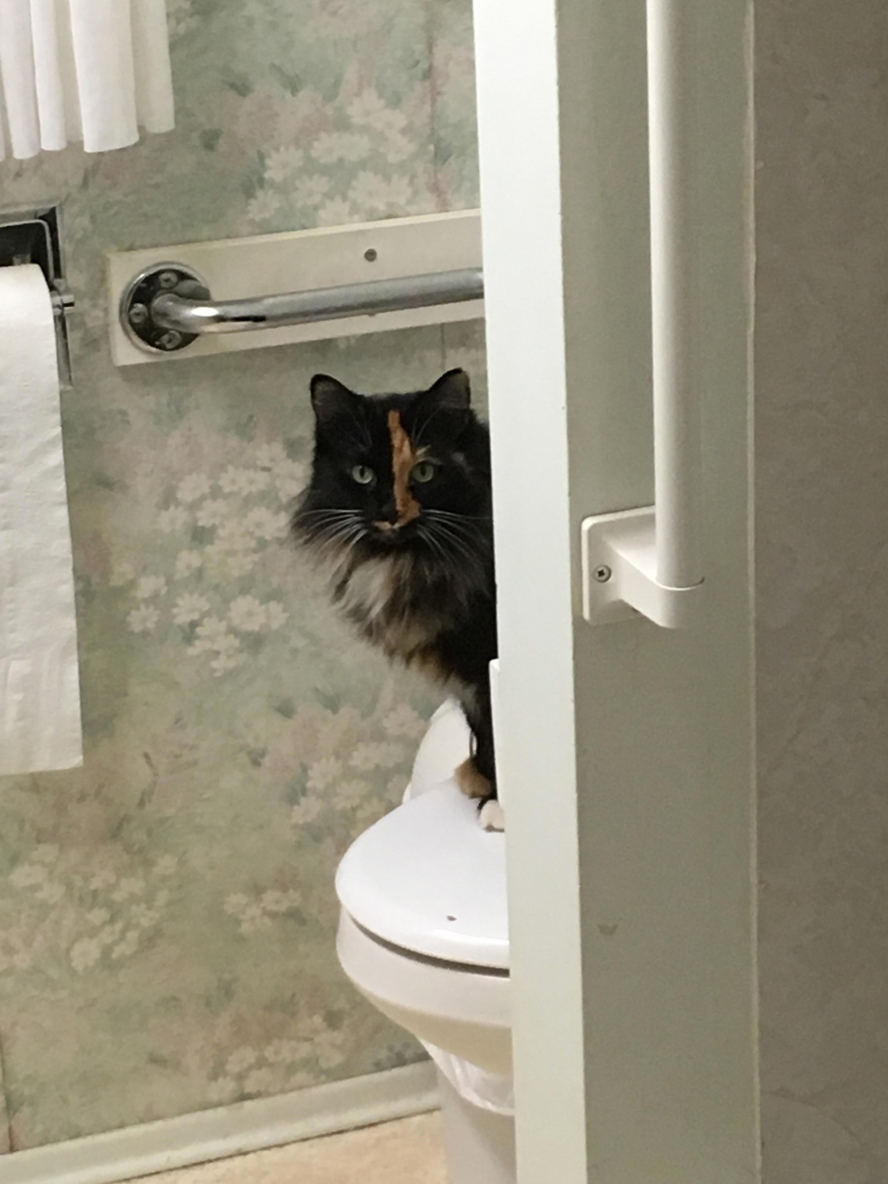 A little privacy please
