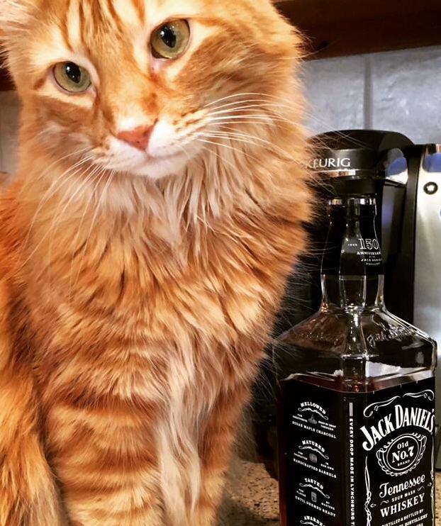 Finley and his bottle of jack