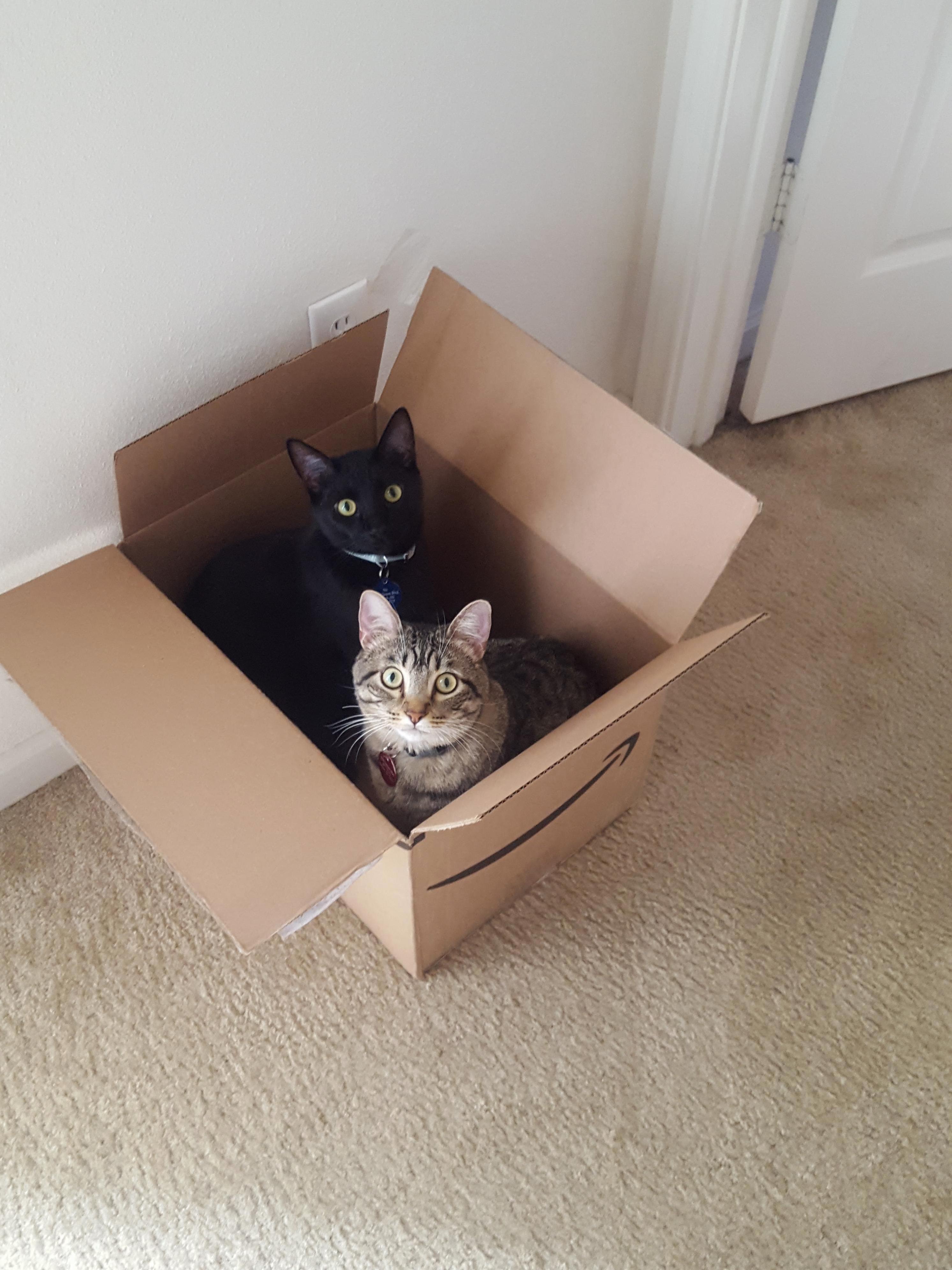 They love it when i order things online