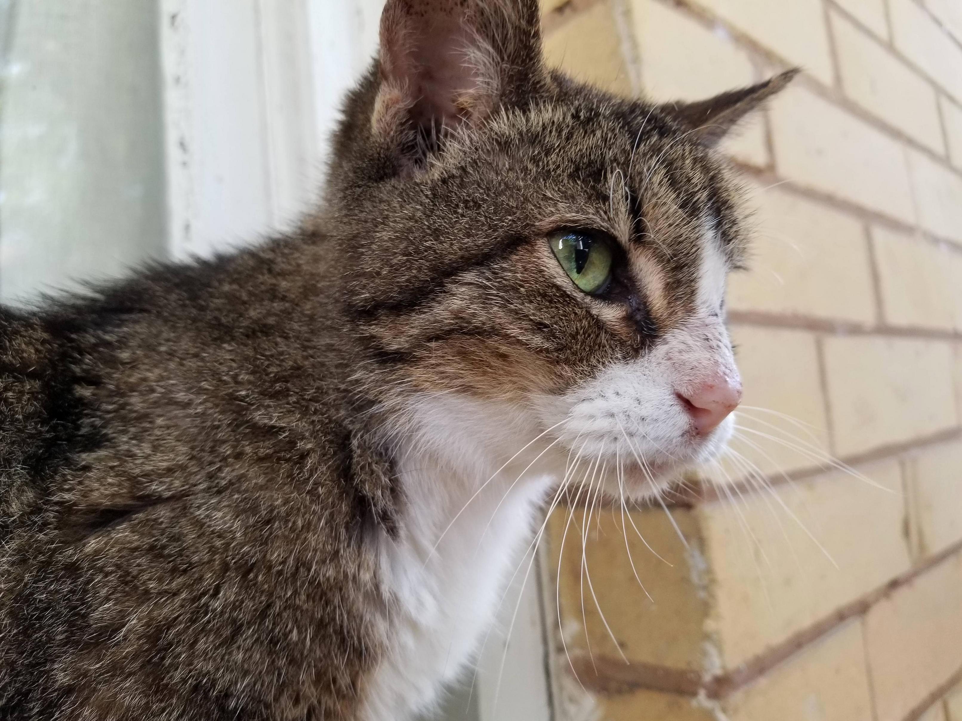 This is marie shes 17 years old today.