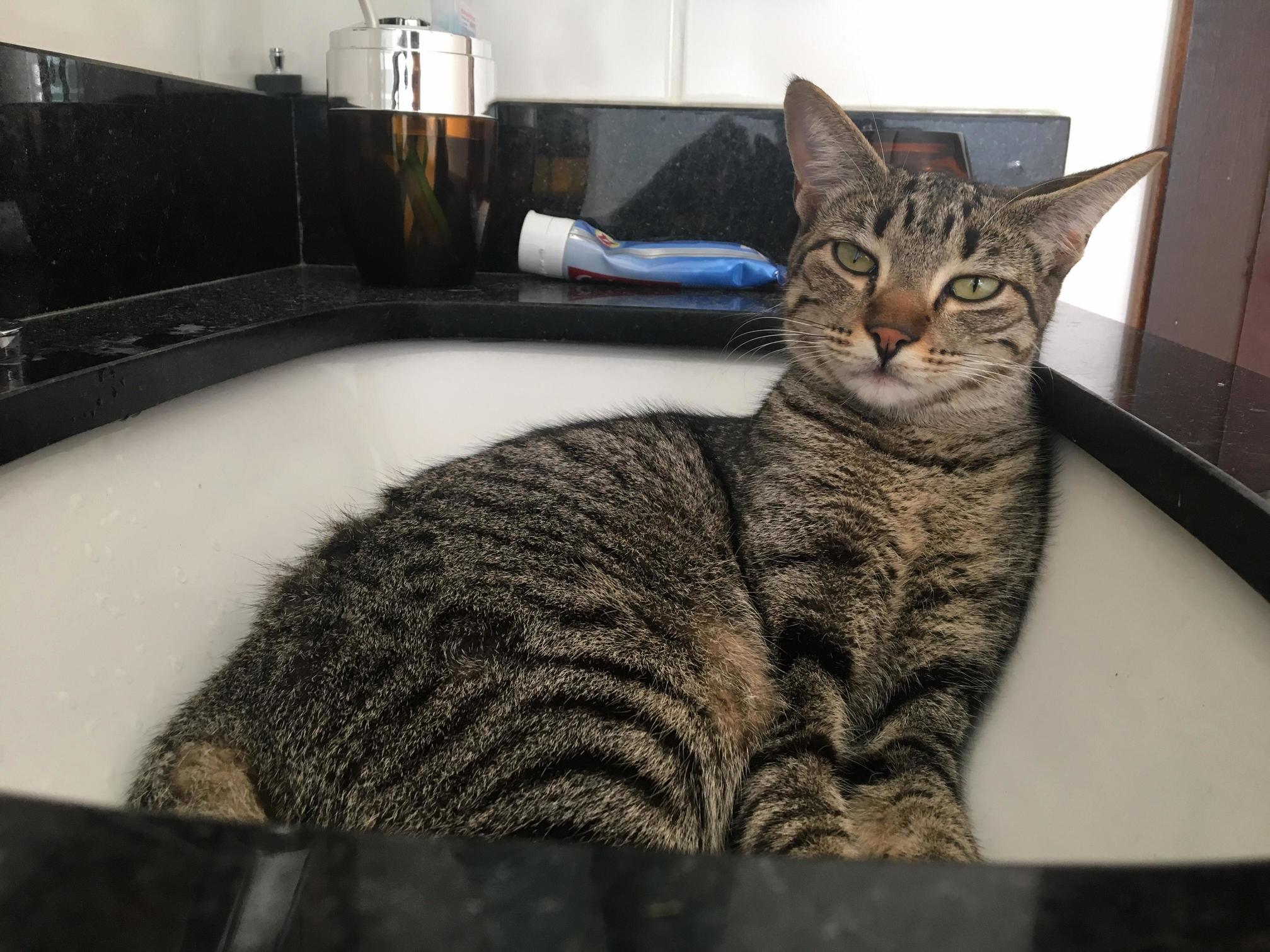 Yeah i was sleeping in the sink. so what