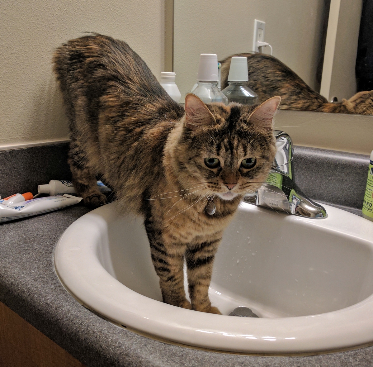 Catsink.exe has stopped working