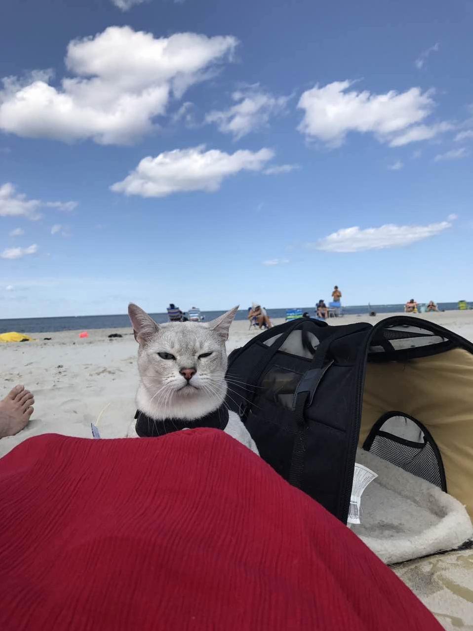 Relaxing at the beach