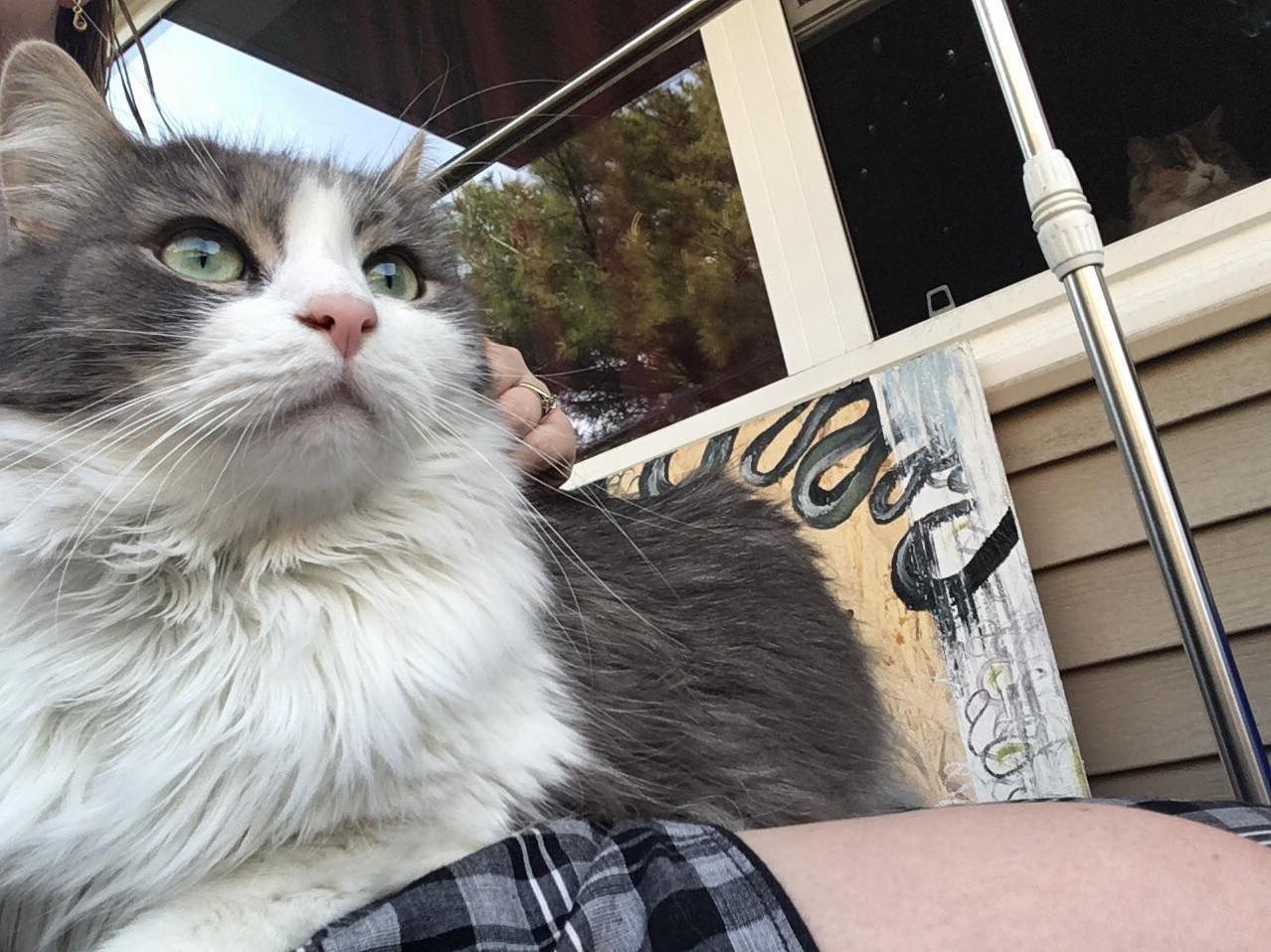 A handsome boy on the patio