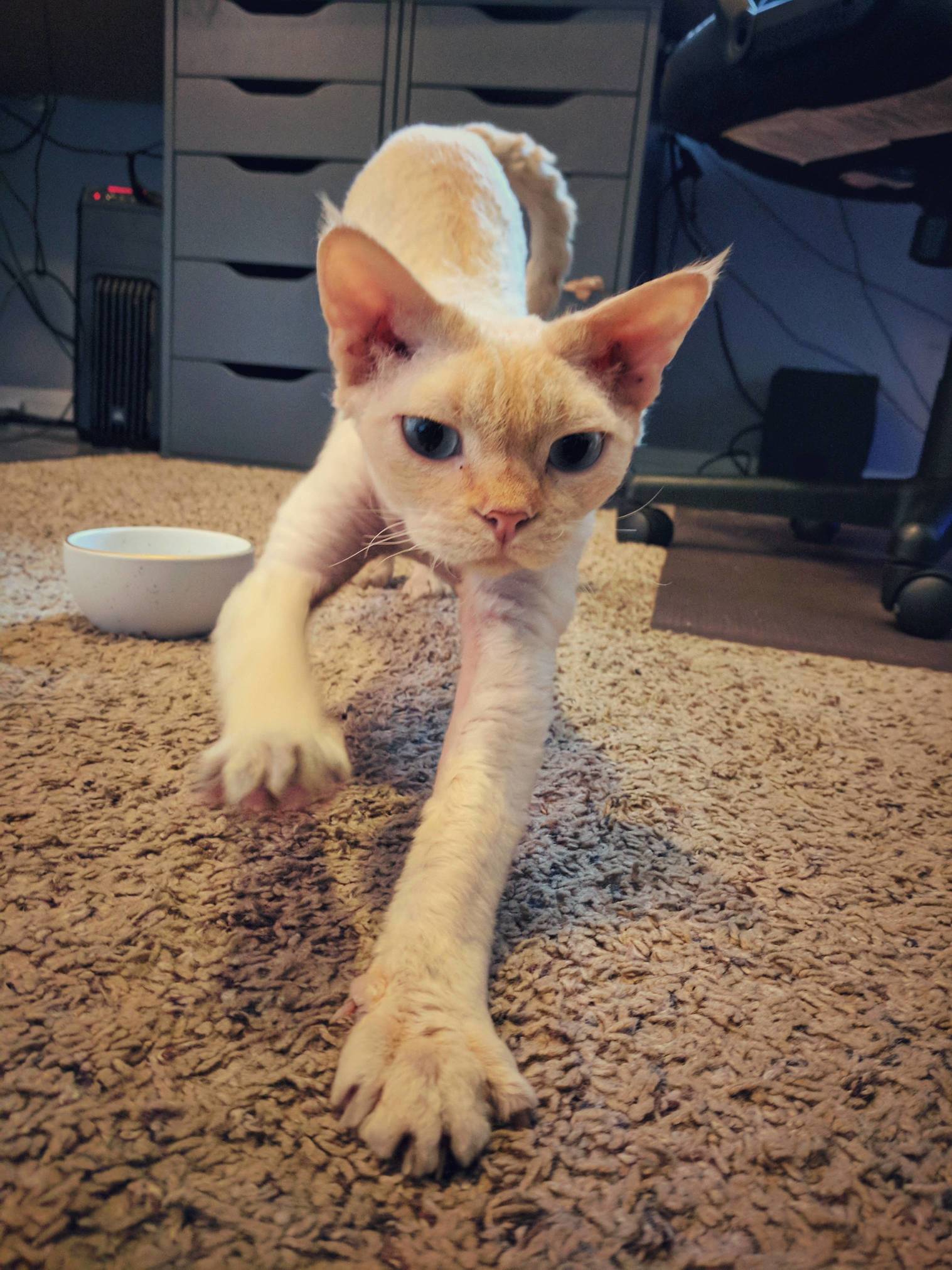 He takes his morning stretch very seriously