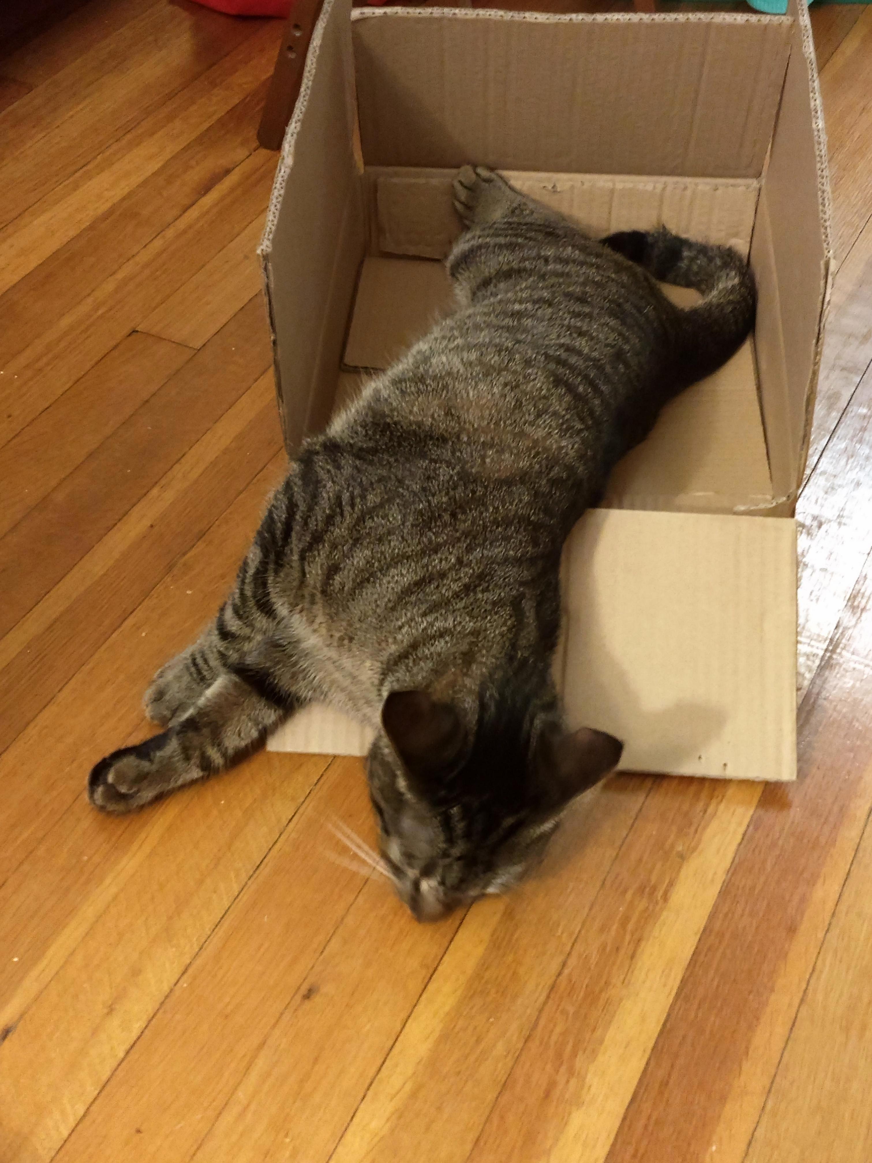 If i fits, i break the box anyway