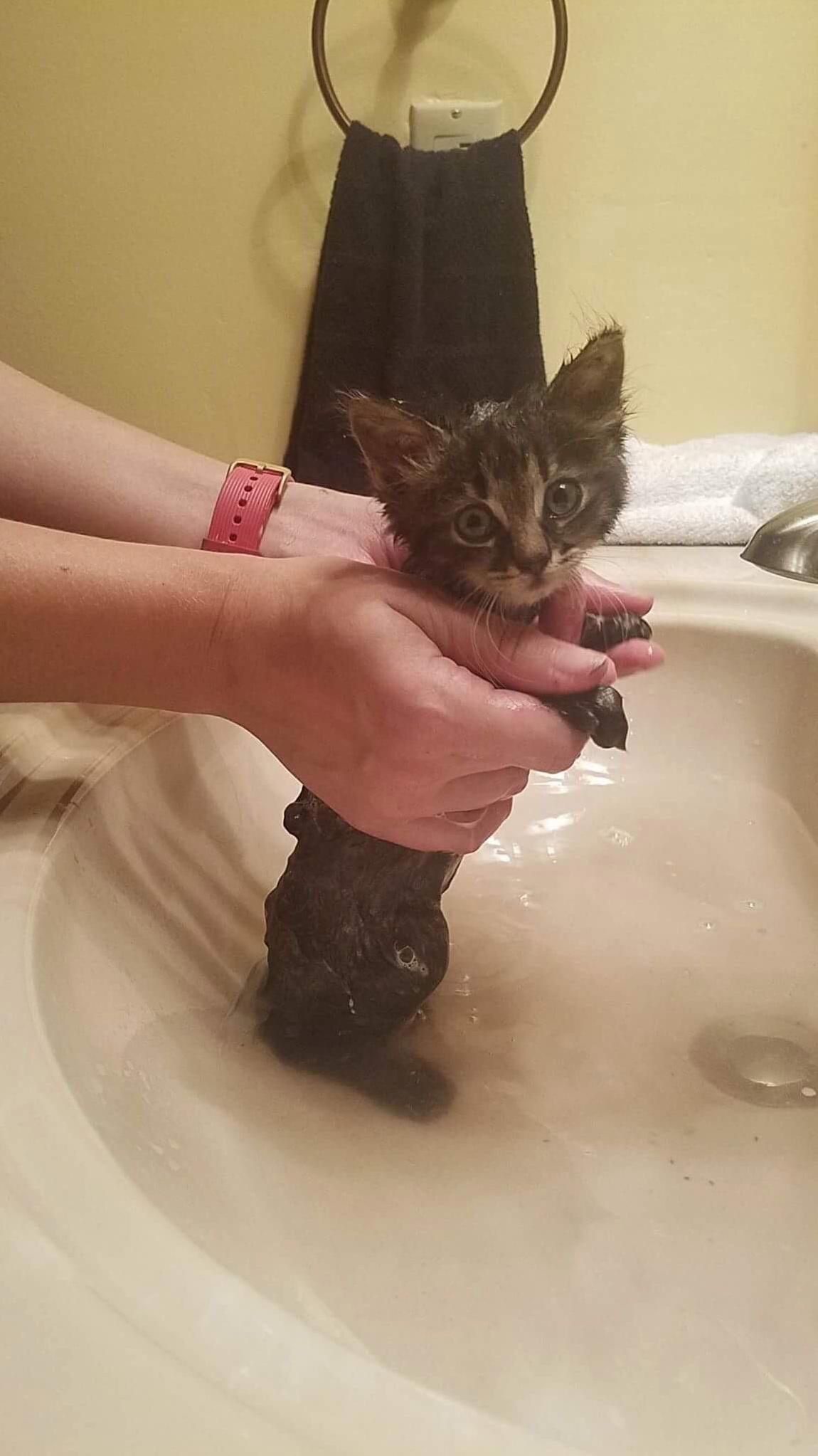 Tiny baby found right before storm