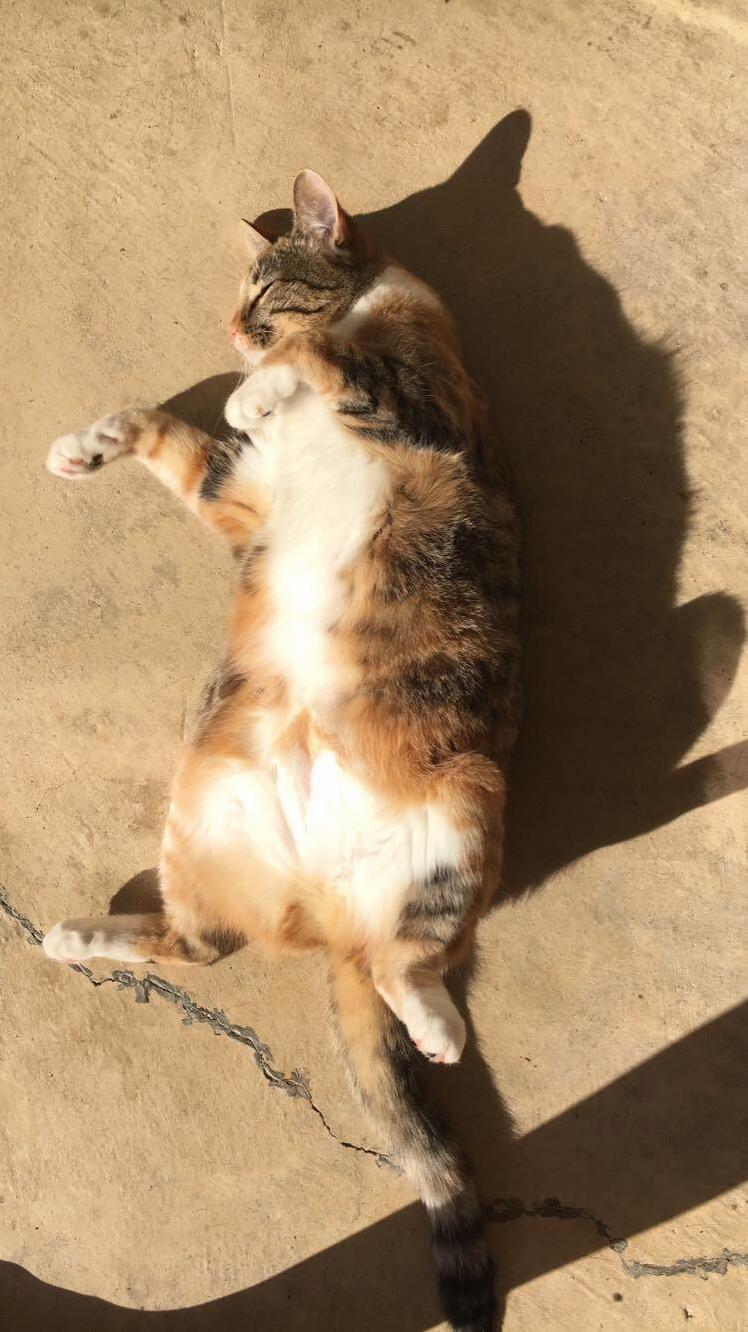 She loves sunbathing.