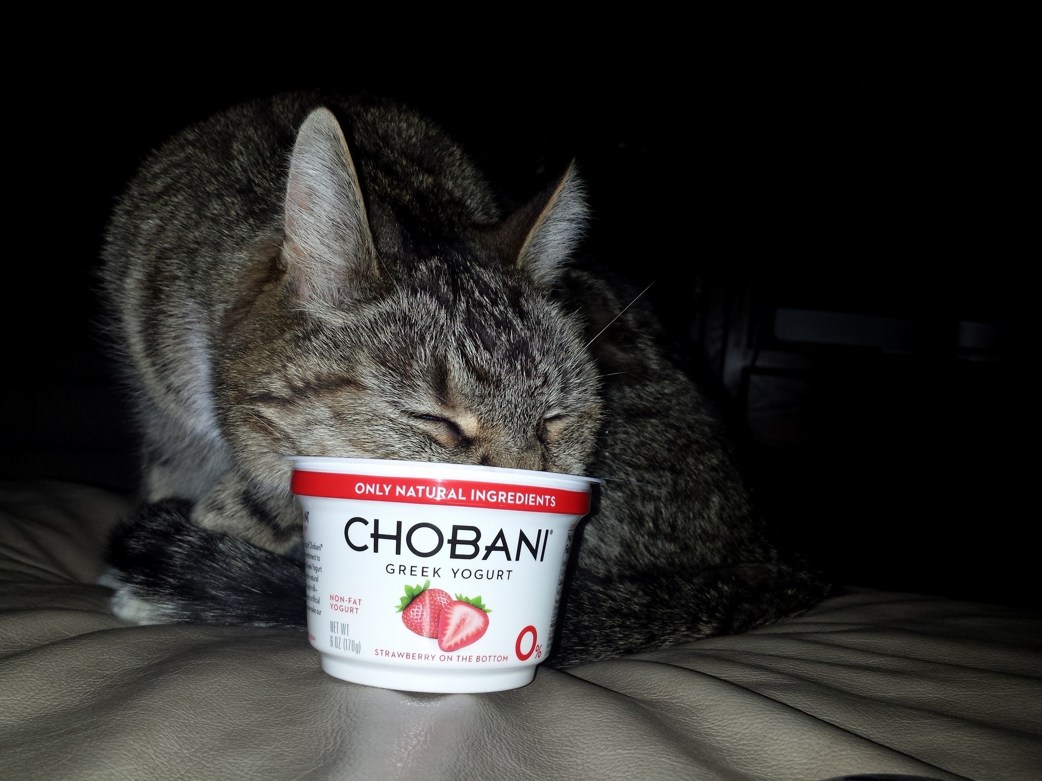 I think he really likes his yogurt.