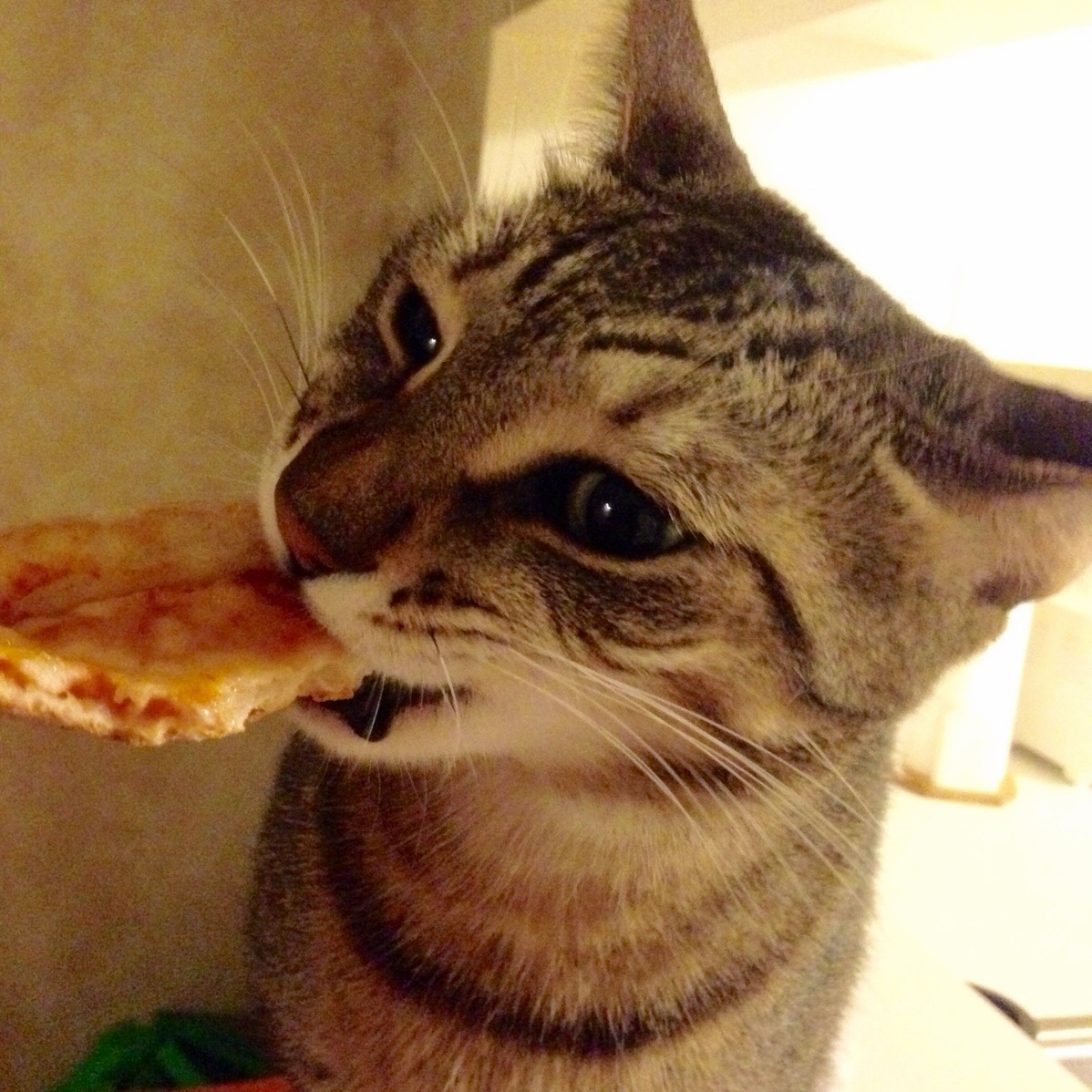Sure ma i ll have a little pizza even if you did forget the anchovies