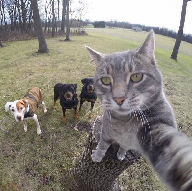 Taking a selfie with friend