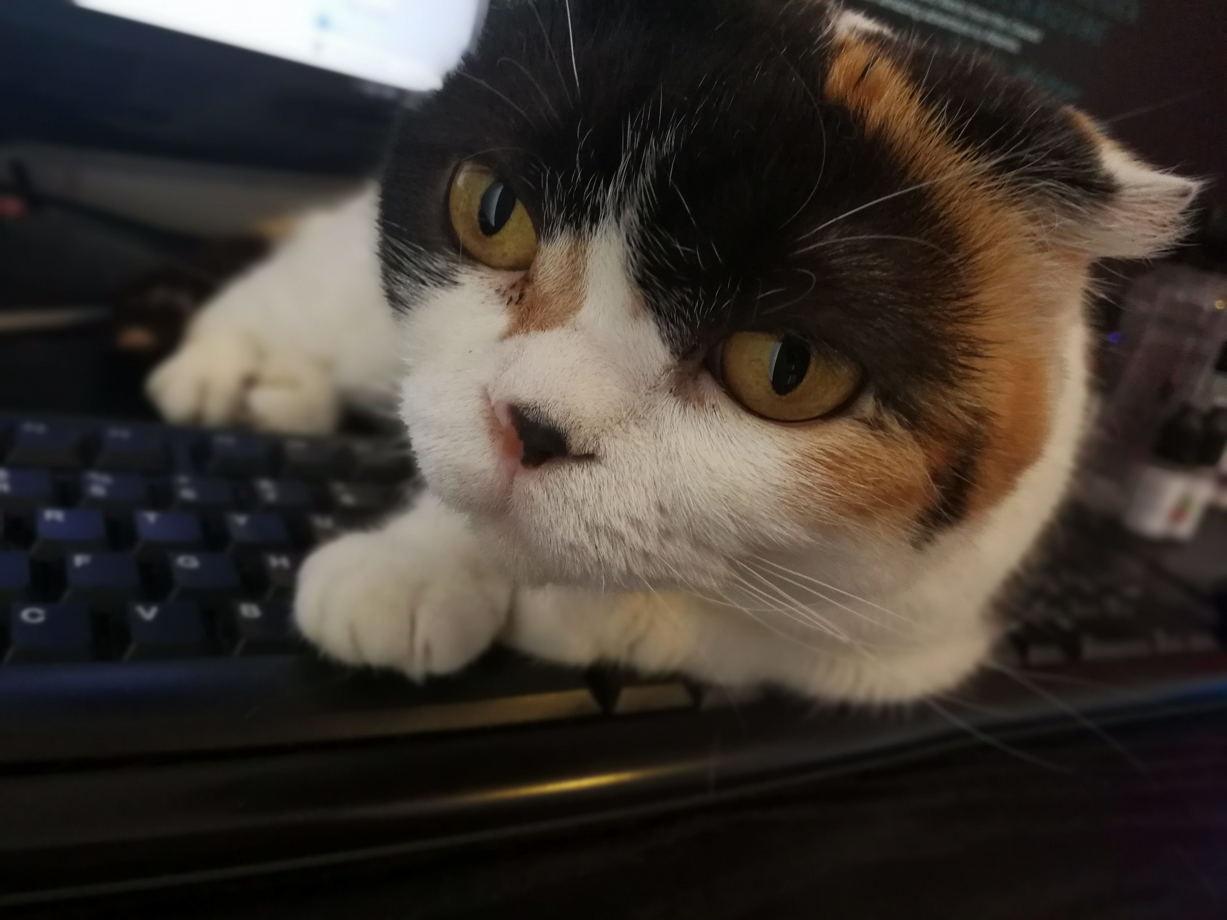 You werent planning on using the keyboard right