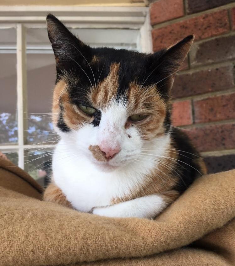 15 year old, mother of four. her name is matilda