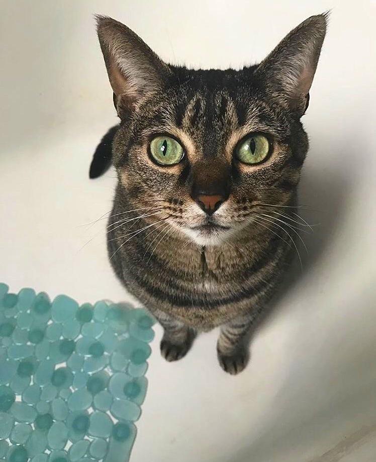 She loves the bathtub.