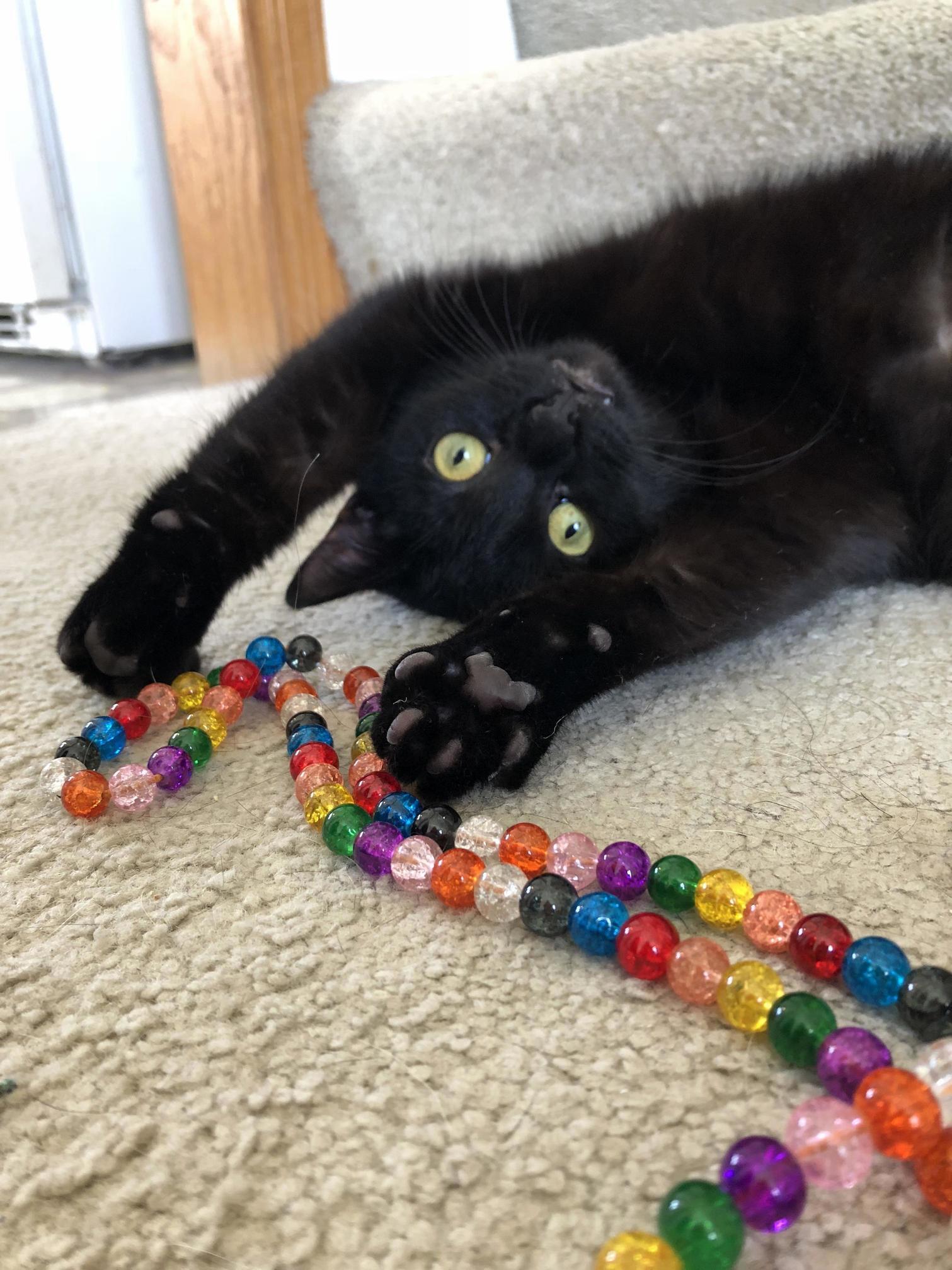 She stole my string of beads, then tried to play innocent and cute