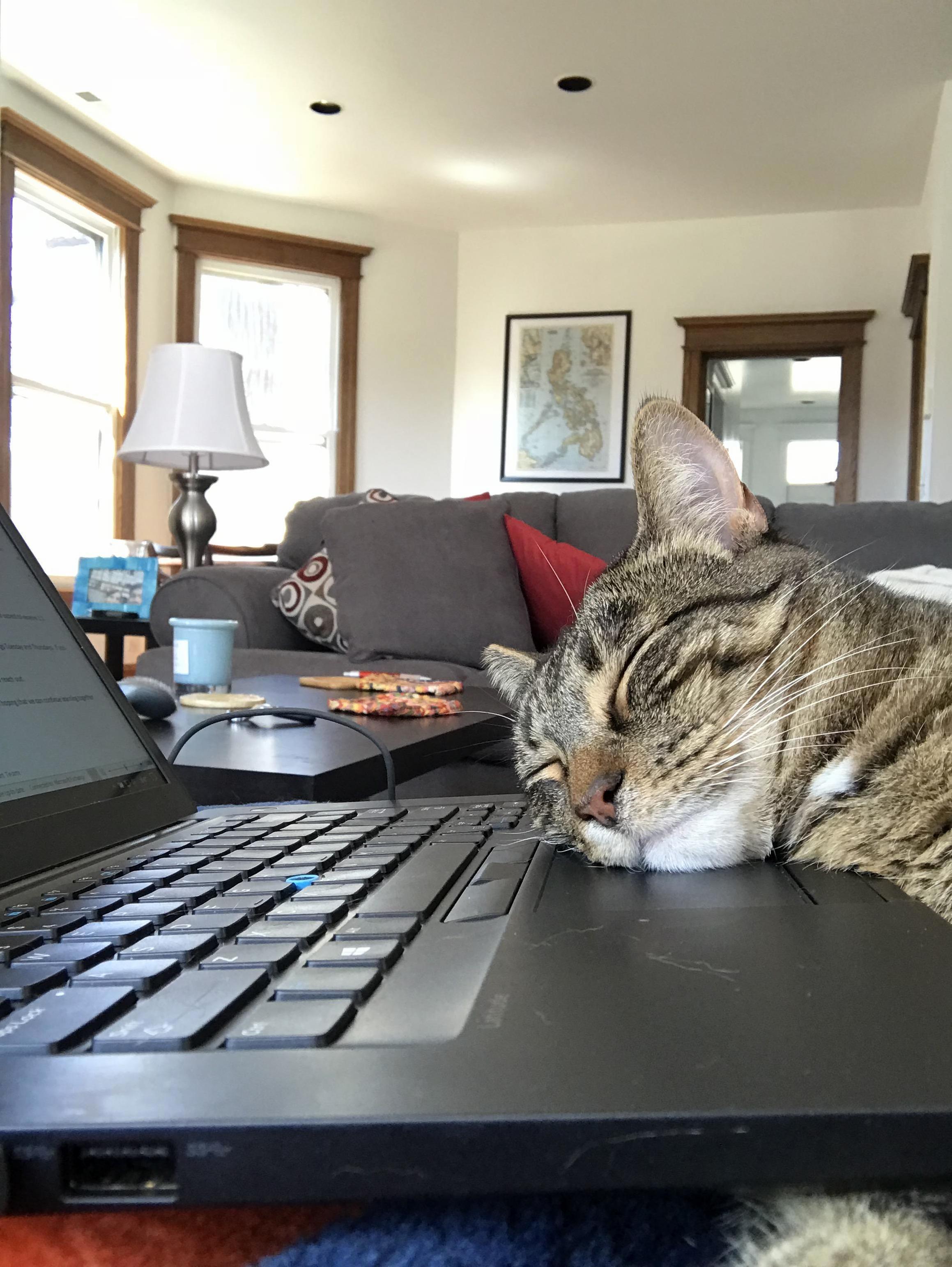 oh, youre working great, ill just take a nap right here.