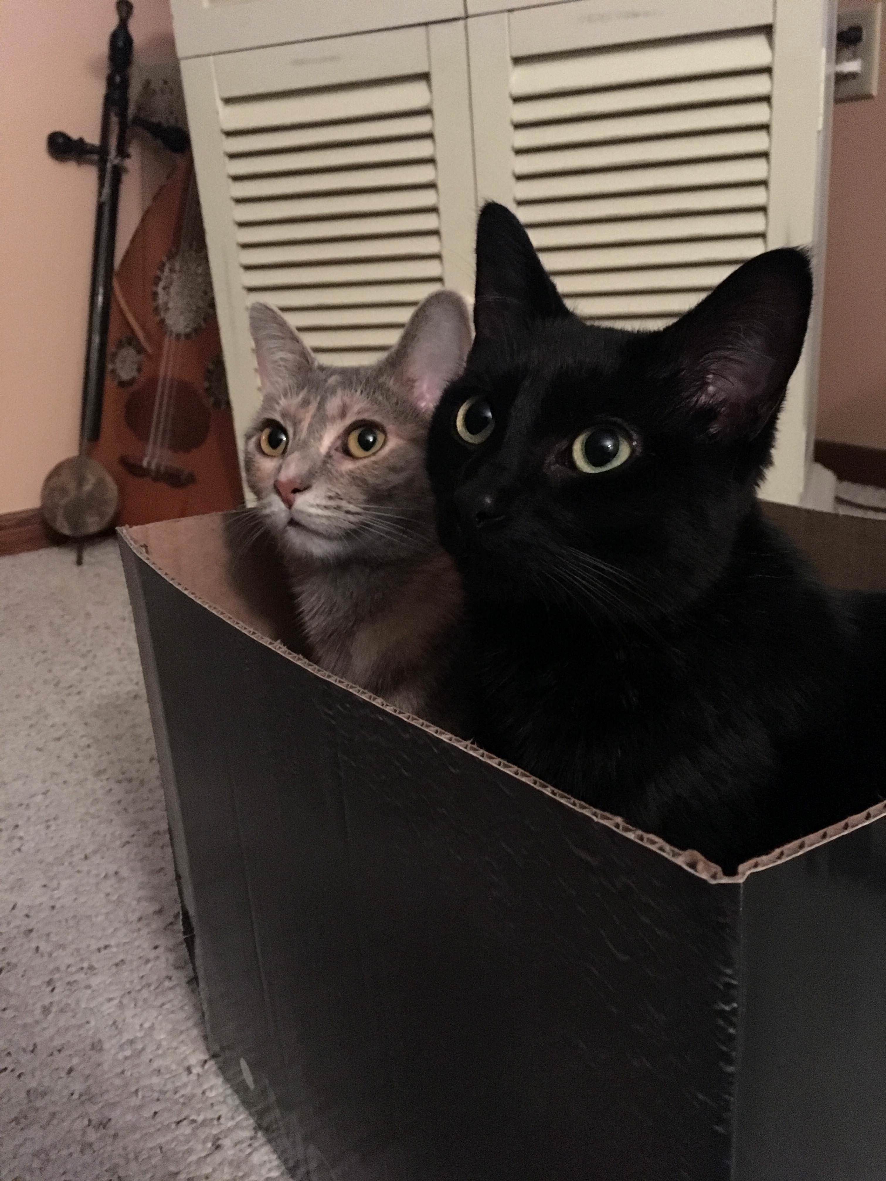 Can we both fits